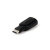 LMP USB-C to USB Adapter 3
