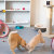 Cámara Wi-Fi para vigilar mascotas Petcube interactiva  8