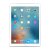 Moshi iGlaze Stealth iPad Pro 12.9 2015 Zoll Case Hülle in Transparent 8