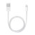 Official Apple Lightning to USB Cable - 50cm 2