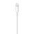 Official Apple Lightning to USB Cable - 50cm 3