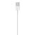 Official Apple Lightning to USB Cable - 50cm 4