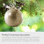 Bola de navidad con brillo LED con mensaje grabable - Oro 2
