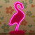 Echo Three Neon Flamingo 2