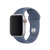 Official Apple Watch Sport Band 40mm - Alaskan Blue 3