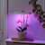 Auraglow LED Indoor Hydroponic Plant & Herb Kitchen Grow Light - White 5