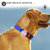Olixar Apple AirTag Protective Slide-On Pet Collar Clip - Pink 3