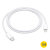 Official Apple AirPods 3 USB-C to Lightning Charging Cable 1m - White 2