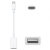 Official Apple iPad Pro 11 2021 3rd Gen USB-C To USB-A  Adapter -White 3