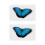 LoveCases Blue Butterfly Sticker - For AirPods 5