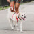 Olixar Black Waterproof Pet Collar Case - For Samsung Galaxy SmartTag2 3